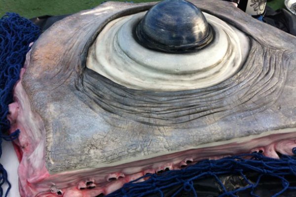 Кракен это современный даркнет маркет