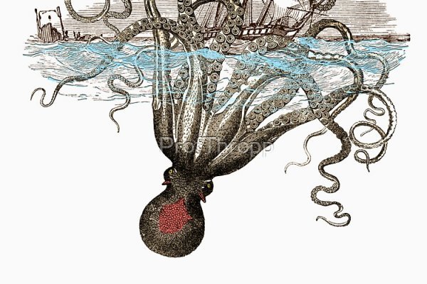 Как положить деньги на кракен